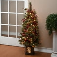 thumbnail image 5 of National Tree Company 4 ft. Dakota Pine Entrance Tree with Clear Lights, 5 of 6