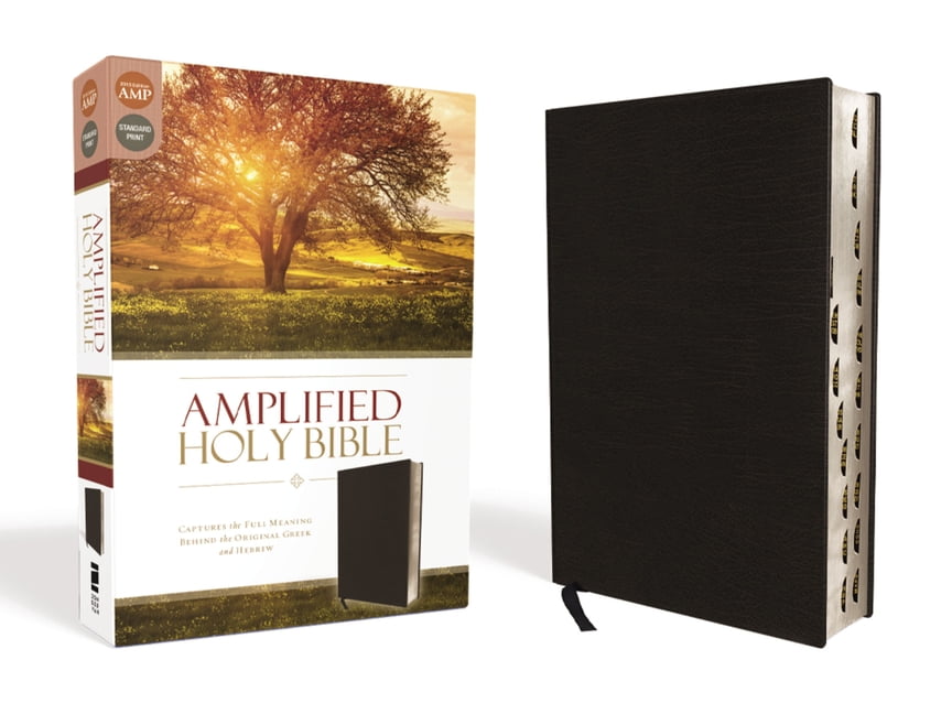 Zondervan Amplified Bible-Am-Large Print: Clear Word Print