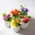 thumbnail image 4 of AURORA TRADE Miniature Dollhouse Pot Plants, 5 Pieces, Resin and PVC, 2.8cm, 4 of 8