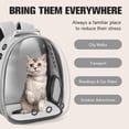 thumbnail image 4 of Mochila portabebés Dorphy Space Capsule para gato y perro, color gris, 4 of 7
