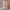Pink, variant on Girls Sherpa Fleece Jackets Fuzzy Warm Winter Long Cardigan Jackets Button Coat Long Sleeve Outwear with Pockets Comfortable Fall Winter Warm Clothes Tops Clearance
