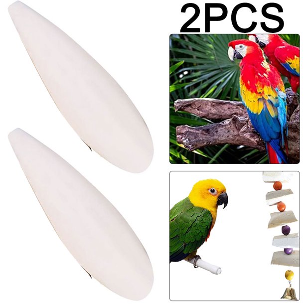 Hueso sepia pulido y desalado loro hámster mascota gateadora suplemento calcio juguete molar para pájaros comida para pájaros (12-14 cm)