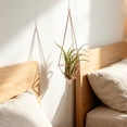 thumbnail image 4 of Geometric Air Plant Holder with Hanging Chain, Metal Hanging Tillandsia Holder, 3 Different Size Macrame Plant Holder, for Small Air Plants Indoor Garden Wall Decor, 4 of 4