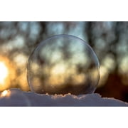 Angle View: Peel-n-Stick Poster of Slightly Frozen Frozen Bubble Winter Soap Bubble Poster 24x16 Adhesive Sticker Poster Print