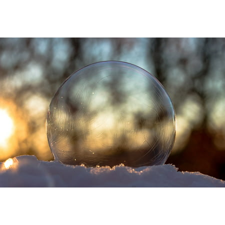 Peel-n-Stick Poster of Slightly Frozen Frozen Bubble Winter Soap Bubble Poster 24x16 Adhesive Sticker Poster Print
