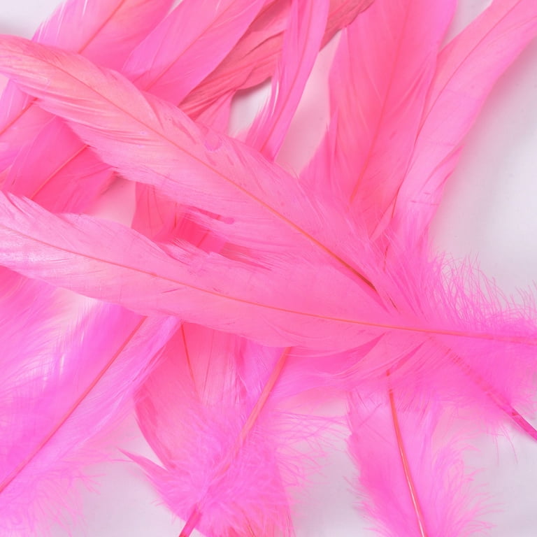  Natural Pink Large Ostrich Feathers Making Kit 10 Pcs