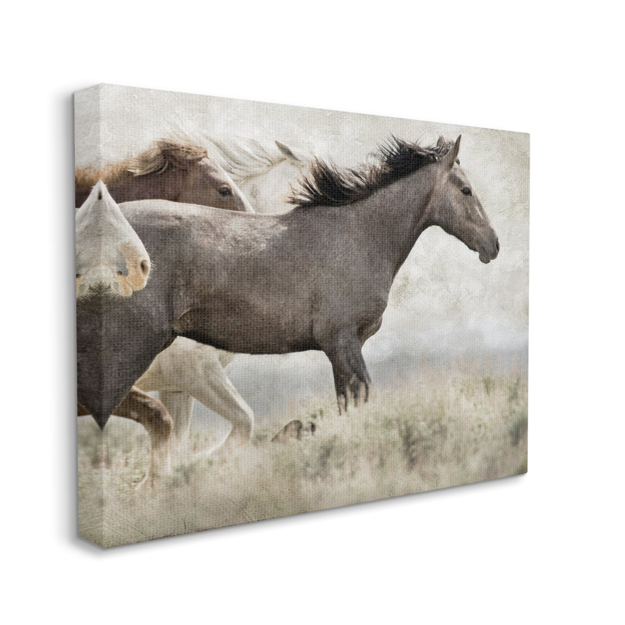 Stupell Industries Galloping Horse Herd Photography Animals & Insects Photography Gallery Wrapped Canvas Print Wall Art
