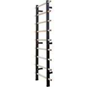 DHT Dynamic Health Tech WA2 Wall Mount Stall Bar Swedish Ladder