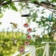 thumbnail image 5 of 2025 Campanas de Viento y Comederos para Colibríes para Decoración de Jardín y Patio, 5 of 5