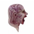 thumbnail image 2 of Máscara de vampiro de terror de Halloween, zombi, tocado de látex aterrador alienígena infectado, 2 of 5