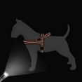 thumbnail image 3 of Didog No Pull Dog Harness Front Leading Adjustable Reflective Soft Warm Plush Padded Strap Vest XS-L, 3 of 8