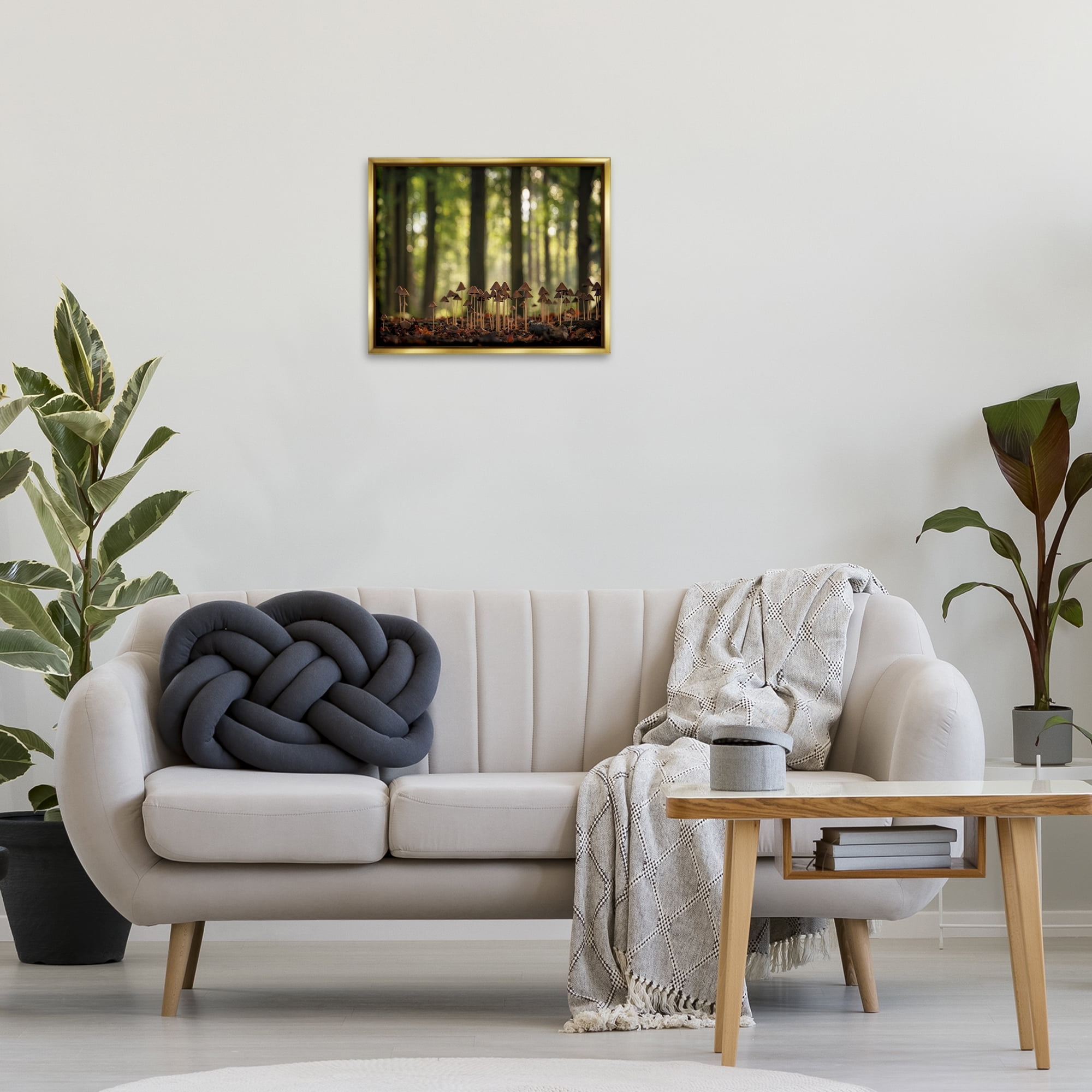 Stupell Industries Mushroom Sprouts in Forest Botanical & Floral Photography Gold Floater Framed Art Print Wall Art, 21 x 17