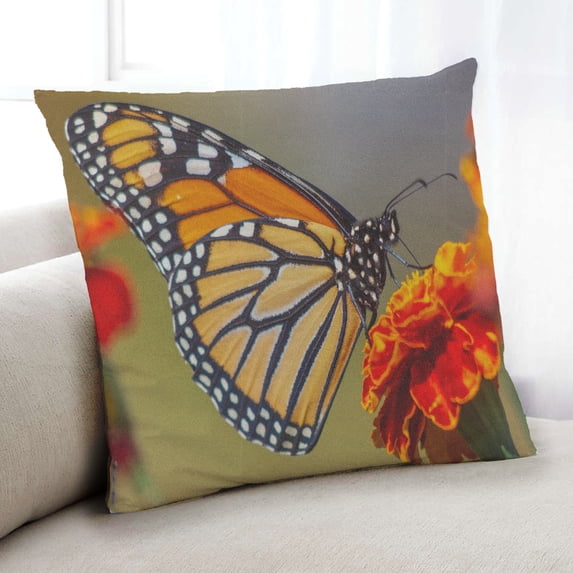 Ahgly Company Insects Butterfly Indoor Throw Pillow, 18 inch by 18 inch