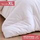 thumbnail image 3 of ALVANA Set de Edredón 2 Piezas Acolchado Extra Grande Hipoalergénico Relleno Suave de Microfibra Down Alternative Ideal para Todo el Año Uso como Edredón o para Funda Duvet, 3 of 6