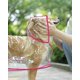 thumbnail image 4 of Poncho impermeable y cortavientos para perros y cachorros, talla M (rosa), 4 of 5