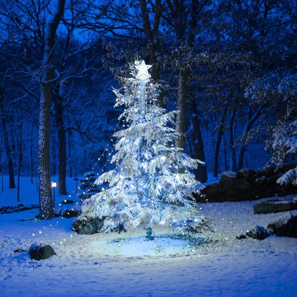 Christmas Lights Outdoor Christmas Lights Outdoor Led 137.8 In, Multicolor Christmas Tree Light with Plug in Remote, 8 Modes Ip67 Water Fall Star Lights for Indoor Yard Party Christmas Tree Lights