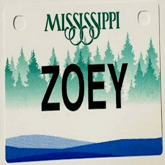 Zoey Mini Bike Plate Add On Accessory