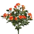 thumbnail image 1 of Mini Diamant Orange Rosa X5 Buisson Floral - 15 Po., 1 of 1