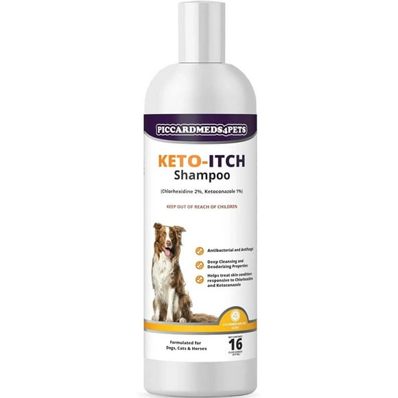 Chlorhexidine Shampoo Dogs