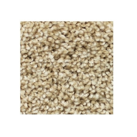 Best Option Sawgrass 25 oz Plush Textured Indoor Area Rug Carpet Many (What's The Best Carpet)