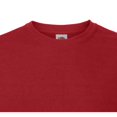 thumbnail image 3 of Fruit Of The Loom T-Shirt Iconique 195 Ringspun Premium pour Hommes, 3 of 3