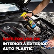 Stoner Car Care 92034-6PK 22-Ounce Trim Shine Protectant for Interior and Exterior Restores, Moisturizes, and Conditions Vinyl, Rubber, Leather and More, Pack of 6