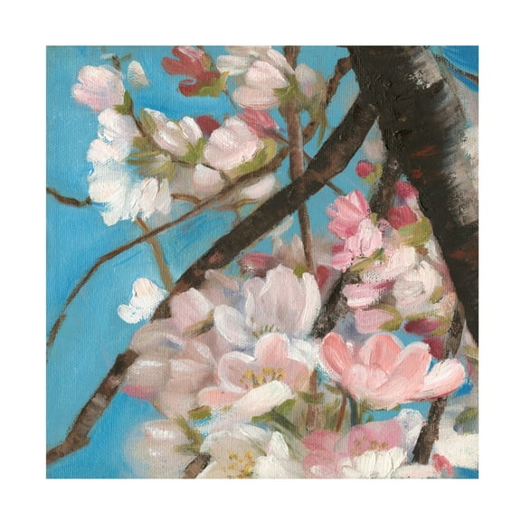 Sandra Iafrate 'Cherry Blossoms II' Canvas Art