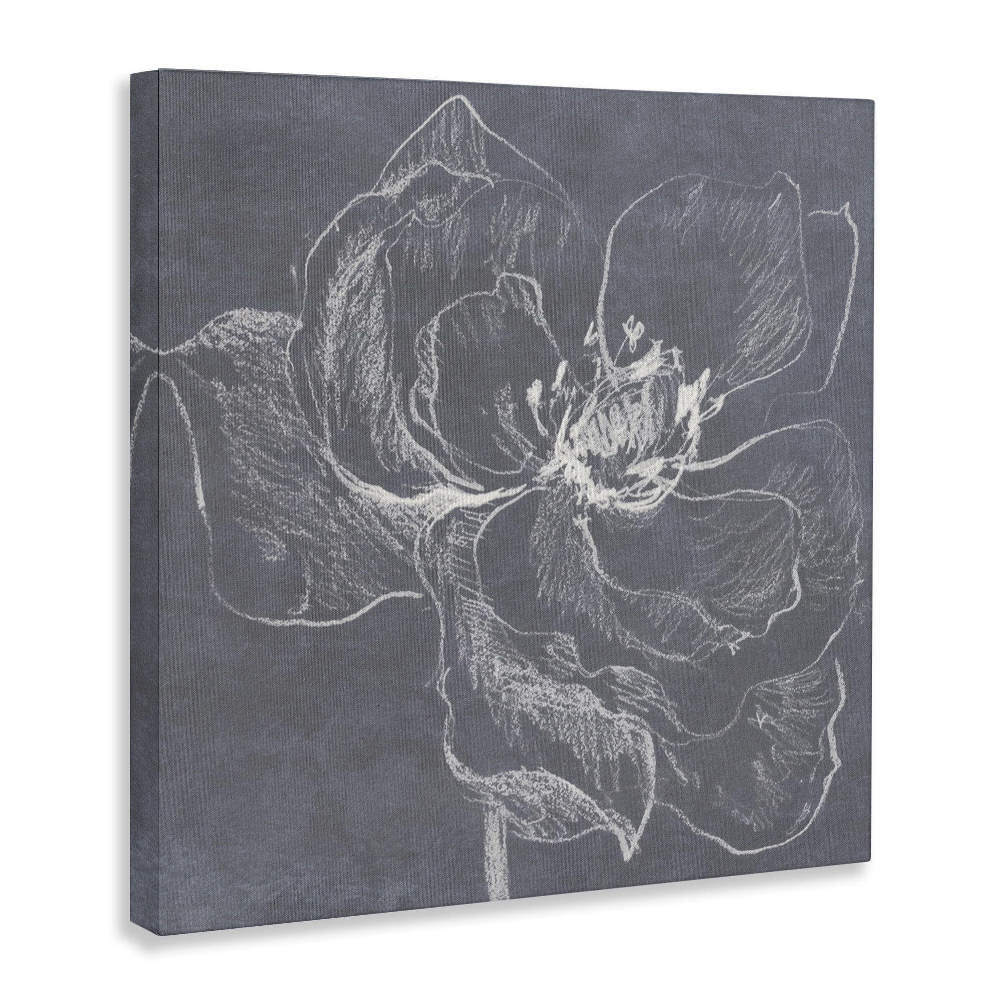 Stupell Industries Magnolia Doodle Outline Plants & Flowers Drawing Wrapped Canvas Art Print Wall Art, 36 x 36