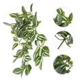 thumbnail image 1 of unbranded 1Ud Natural De Pared Con Rattan Sintético Verde De Material Plástico, 1 of 6