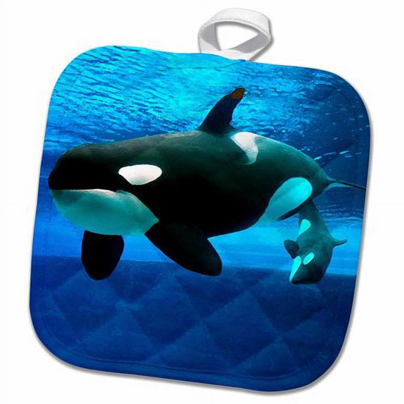 3dRose, Killer Whales, 8x8 Potholder