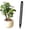 Black, variant on Plant Root Aeration Tube, Pot Soil Breathable Pipe, Plastic Potted Plant Root Aeration Tube, Anti Root Rot Vent Tube, Potted Soil Aerator Tool, Breathable Soil Ventilation Pipe,9.84×0.59 in,Black