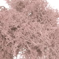 thumbnail image 4 of Uxcell 3.5 OZ Fake Moss Preserved Reindeer Moss Artificial Moss Lichen Centerpieces Decor Faux Moss Light Pink, 4 of 6