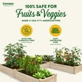 thumbnail image 3 of Greenes Fence Original Pine Raised Garden Bed, U-Shaped 8' x 8' x 10.5", 3 of 8