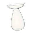 thumbnail image 5 of CoudarTitie Hydroponic Floral Vase, Plant Propagation Station, Elegant Decorative Glass Vase Transparent, 5 of 9