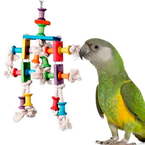 Super Bird Creations SB468 Dancing Spools Bird Toy with Colorful Wooden Spools and Cotton Rope - Ideal for Ringnecks, Parrots, Quakers - Preening and Chewing Toy - Medium Bird Size - 13" x 8" x 2"