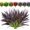Dark Purple Grass Plant, variant on 8 count Outdoor Artificial Tall Grass Faux Tropical Bushes Decor Fall Winter Summer Planters Patio Front Door Porch Plastic Greenery & Shrubs Decoration