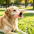 thumbnail image 5 of Breathable Duck Shaped Dog Mouth Muzzle, Flexible Adjustable Soft Pet Muzzle for Small Medium Dogs Walking Grooming, 5 of 9