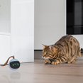 thumbnail image 3 of juguete interactivo para gatos, bola rodante automática para interiores, 3 of 5