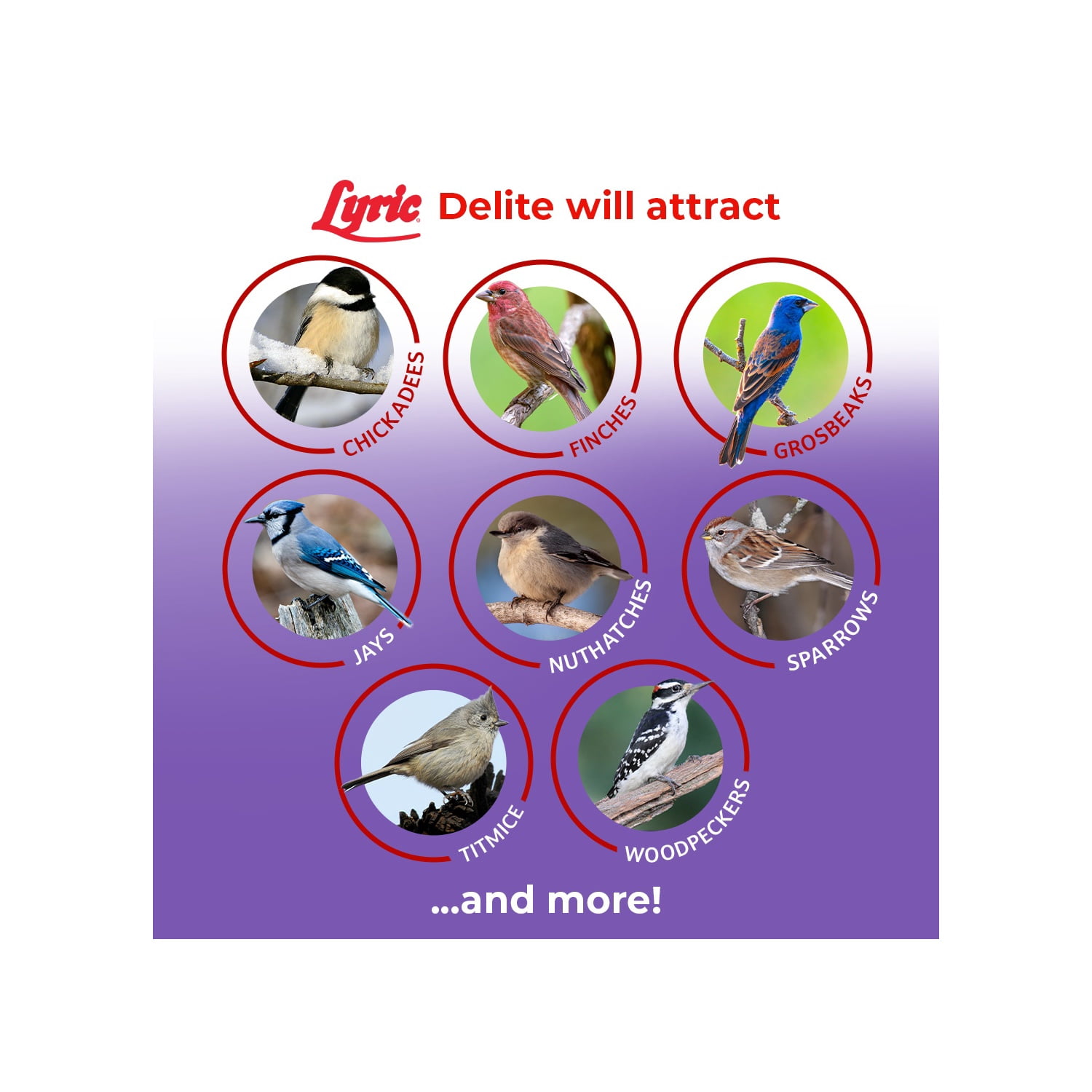 Lyric Delite Wild Bird Seed, No Waste Bird Food with Shell-Free Nuts & Seeds - 20 lb. Bag
