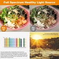 thumbnail image 4 of PAUTIX Kit Tira LED COB 480LEDS/M 2700K/3000K/4000K/6000K, 4 of 5