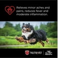 thumbnail image 6 of Nutri-Vet Nutritionals K-9 Aspirin (100 tablets; For Small Dogs), 6 of 6