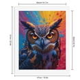 thumbnail image 2 of Paint By Numbers Kit for Adults Beginner - Colorful Owl Splatter Art DIY Canvas Painting Kits for Adults, Frameless Paint By Number for Adults for Home Wall Decor 16x20 Inch, 2 of 7