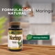 thumbnail image 5 of Suplemento de Moringa Oleifera 100 Comprimidos, 5 of 7