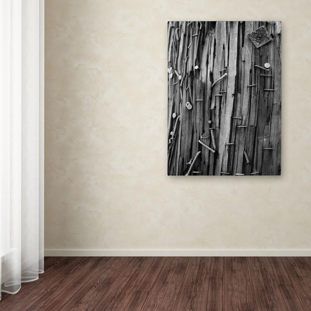 Trademark Fine Art "Nails & Staples" Canvas Wall Art by Patty Tuggle