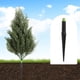 thumbnail image 2 of Artificial Cedar Topiary Trees Outdoor Faux Shrubs Bushes with Ground Spike for Porch Garden Patio Decor Realistic Plastic Plant, 2 of 9
