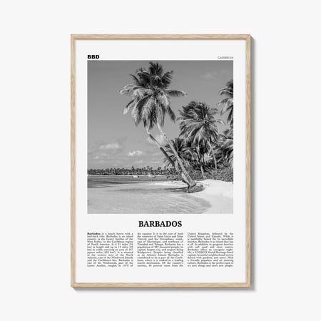 Barbados Black And White Caribbean Travel Tropical Beach Photography Travel Wall Art Poster Poster Print Only