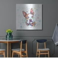 thumbnail image 4 of Luxe Metal Art 'Colorful Watercolor Boston Terrier' by Furbaby Affiliates, Metal Wall Art, 36"x36", 4 of 9