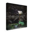 thumbnail image 2 of Trademark Fine Art 'Proud White Lotus' Canvas Art by Christine Sainte-Laudy, 2 of 3