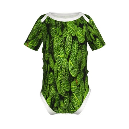 

Gaeub Tiny Green Fern Leaves Print Infant Climbing Onesie Toddler Outfit Newborn Baby Bodysuit Baby Boy Girl Clothes -3 Months
