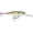 Live River Shad, variant on Rapala Shad Rap Crankbait 07 Live River Shad